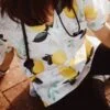 The Lemons - Image 2