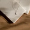 The Silver Rx - Image 2