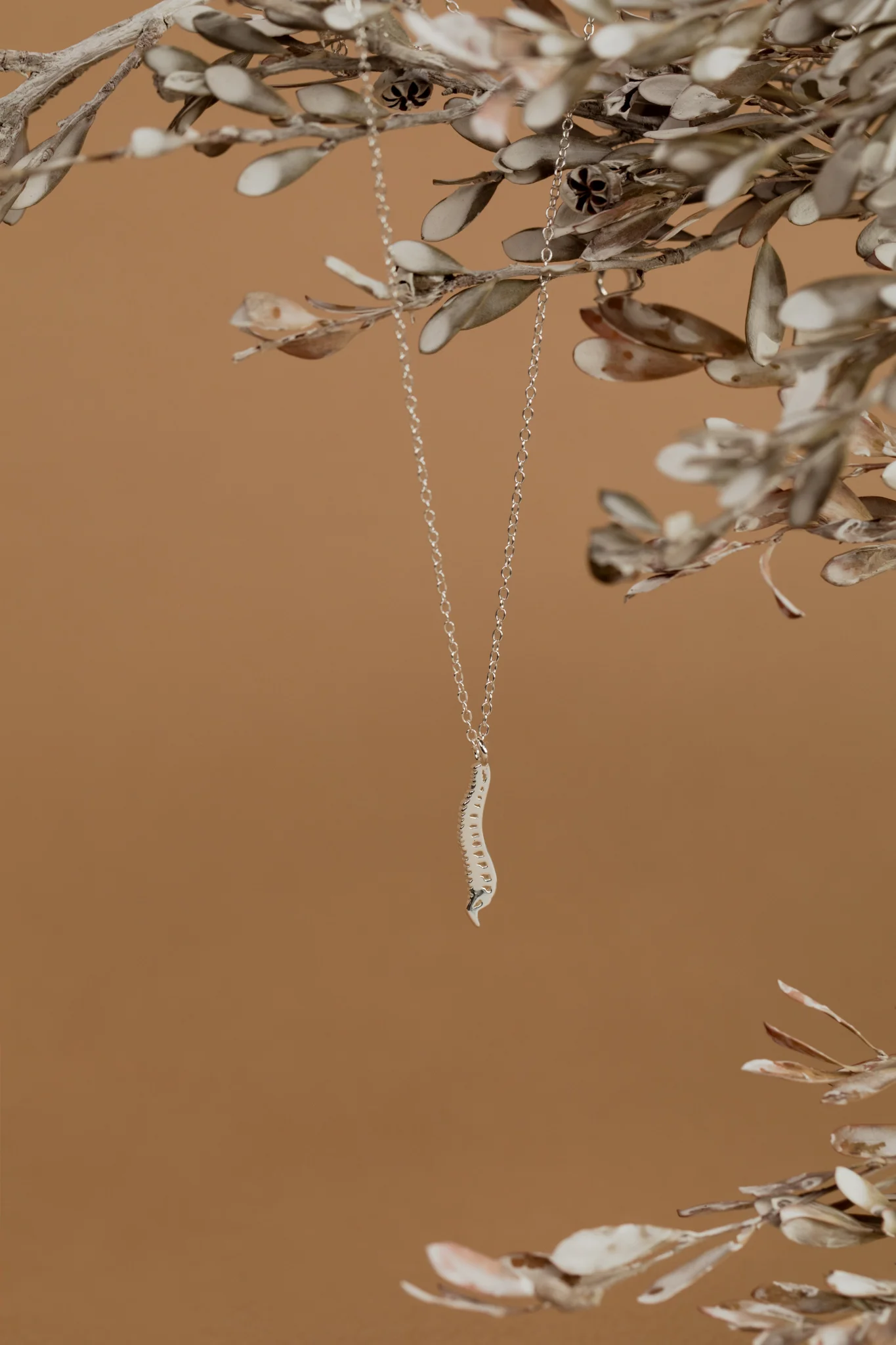 The Silver Spine