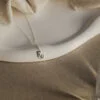The Silver Rx