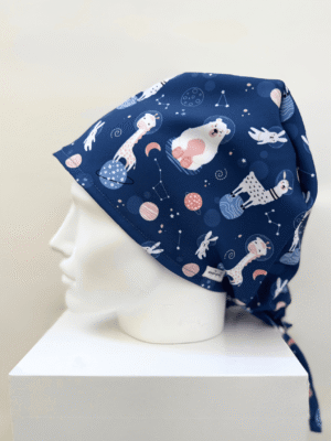 The Galaxy Big Cap